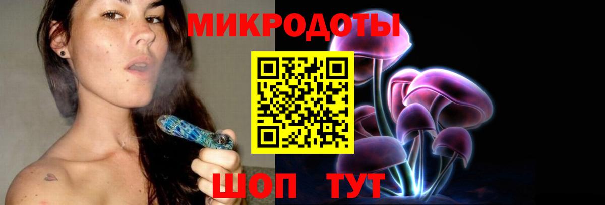 где купить наркоту  Вход с VPN  Псилоцибиновые грибы Psilocybe  Чехов  Галлюциногенные грибы прущие грибы 
